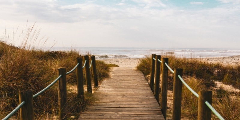 A wooden path leads through sand dunes to the beach, showcasing the natural beauty of Cape May, Jersey Shore.