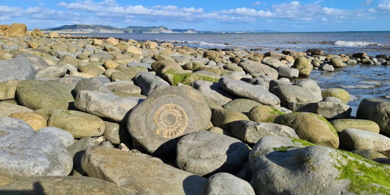 A large rock formation at Monmouth Beach, featuring various rocks along the beach area.