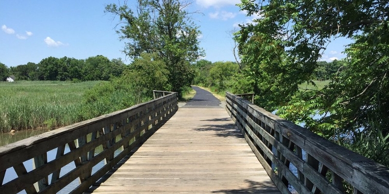 Scenic Bike Rides Along Henry Hudson Trail, perfect for outdoor activities in Jersey Shore
