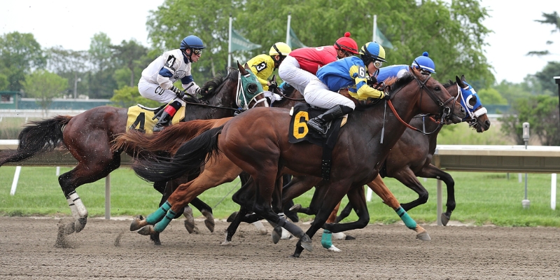 A thrilling horse race unfolds at Monmouth Park Racetrack, showcasing outdoor activities at Jersey Shore.
