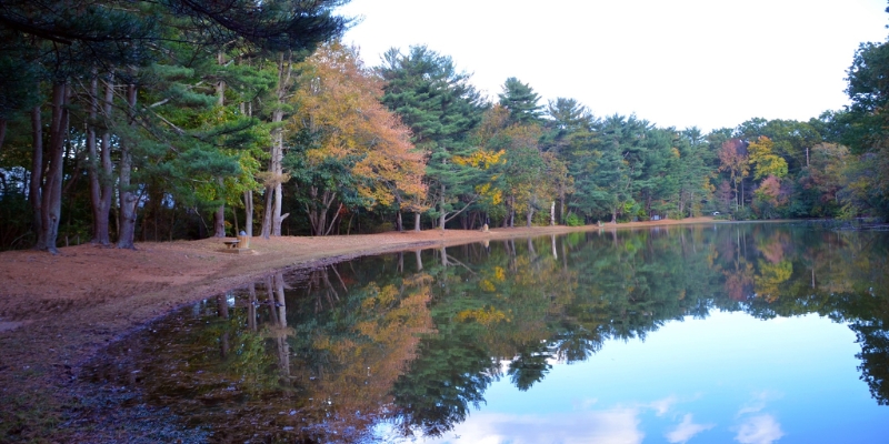 A picturesque lake framed by trees and a blue sky, representing the scenic landscape of Shark River Park in Tinton Falls, NJ.