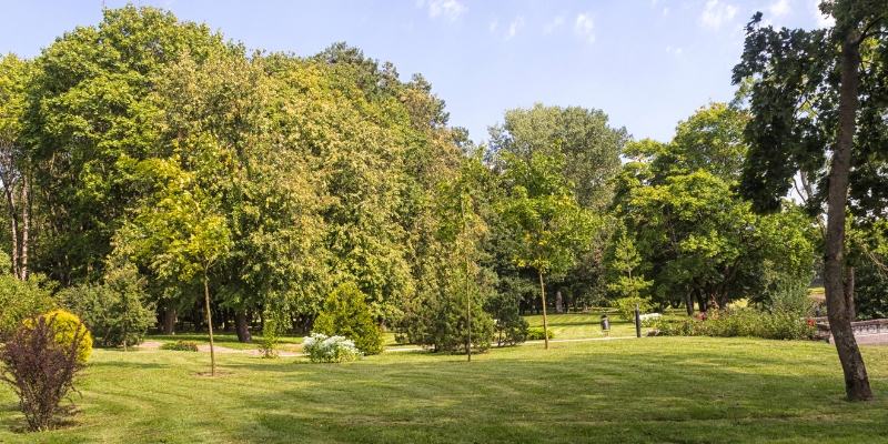 A peaceful grassy field with trees and a bench, located in Wolcott Park near Tinton Falls, NJ, perfect for enjoying nature.