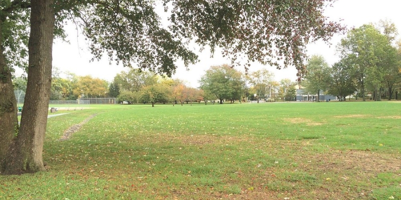 A peaceful grassy field with trees and a bench, located in Wolcott Park near Tinton Falls, NJ, perfect for enjoying nature.