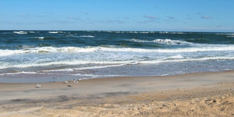 A scenic view of Ocean Grove Beach, featuring gentle waves and birds resting on the sandy shore.