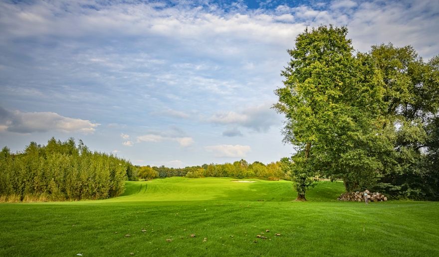 Scenic view of Shark River Golf Course at Jersey Shore, featuring lush grass and trees lining the fairways.