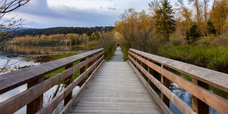 A wooden bridge spans a serene lake, surrounded by lush forest, ideal for outdoor activities along the Henry Hudson Trail.