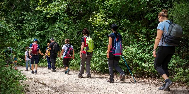 A group of people walking along a trail in Hartshorne Woods Park, enjoying outdoor activities at Jersey Shore.