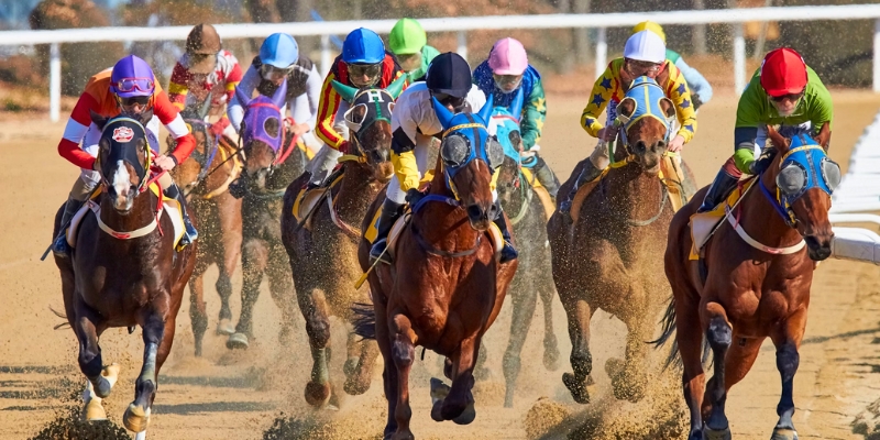Horses racing on a dirt track at Monmouth Park Racetrack, showcasing outdoor activities at Jersey Shore.