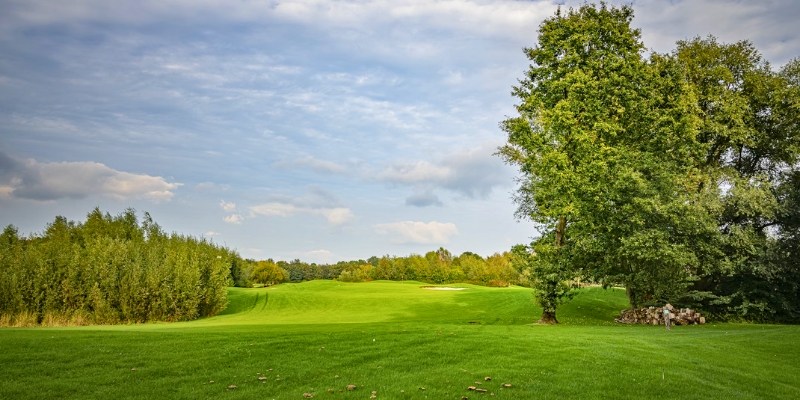 A scenic view of Shark River Golf Course featuring lush grass and trees, ideal for outdoor activities at Jersey Shore.