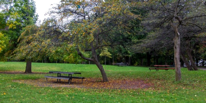 West End Park features a picnic table and a tree, providing a serene spot for relaxation near Monmouth University.