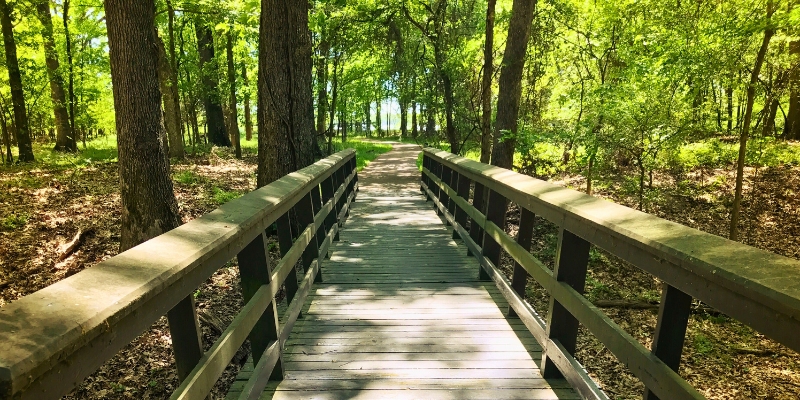 A wooden bridge leads into a lush wooded area along the Jersey Shore Hiking Trails at Popamora Point, Atlantic Highlands.