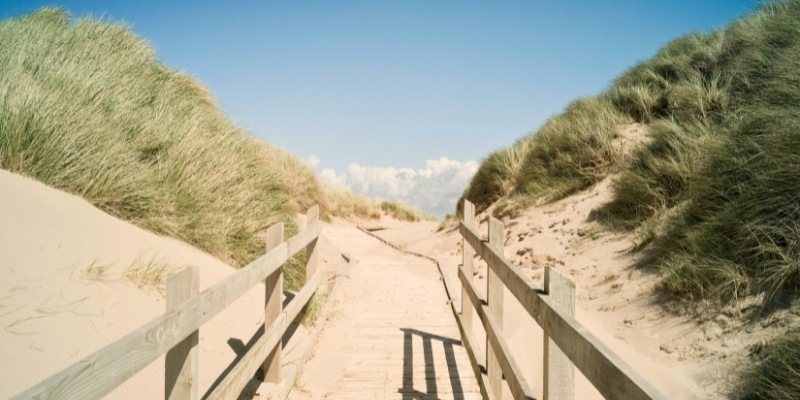 A wooden walkway leads to the beach at Island Beach State Park, part of the Jersey Shore Hiking Trails.