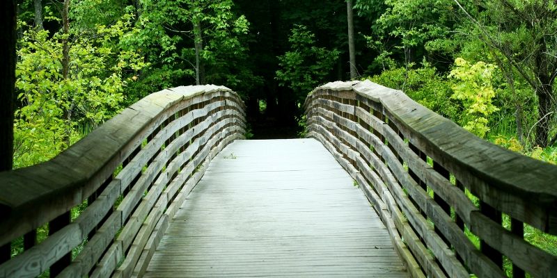 A wooden bridge surrounded by trees and green grass on the Jersey Shore Hiking Trails at Manasquan Reservoir.