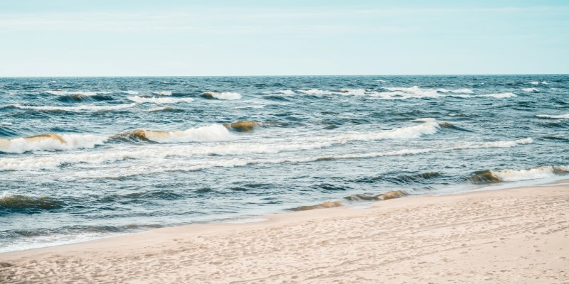 A picturesque view of Sandy Hook beach with soft sand, rolling waves, and a bright blue sky during summer.