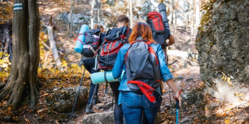 A group of hikers exploring a lush forest trail, showcasing outdoor activities in New Jersey during August.