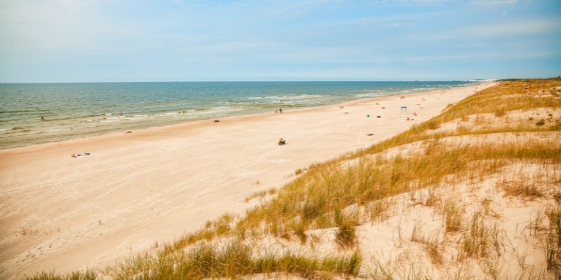 A sandy beach with grass and sand dunes at Island Beach State Park, New Jersey Shore, during Day 2 of the itinerary.
