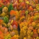 New Jersey Fall Foliage