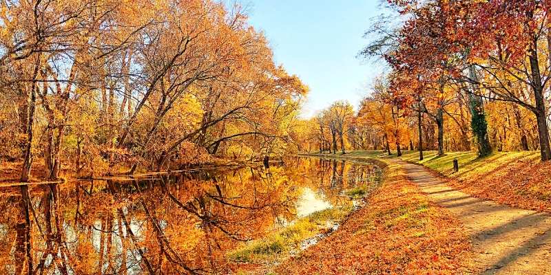 Autumn landscape in New Jersey, showcasing vibrant fall foliage.