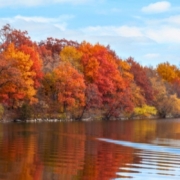 Jersey Shore in Autumn
