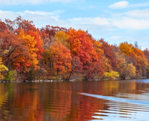 Jersey Shore in Autumn