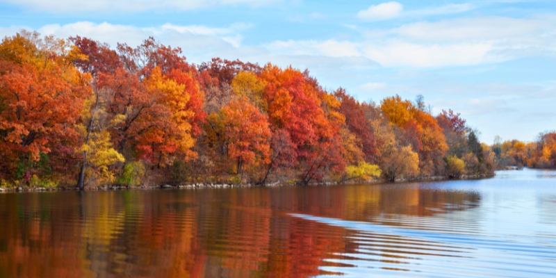 Autumn trees with vibrant foliage reflect on the river at Jersey Shore, showcasing the beauty of fall.