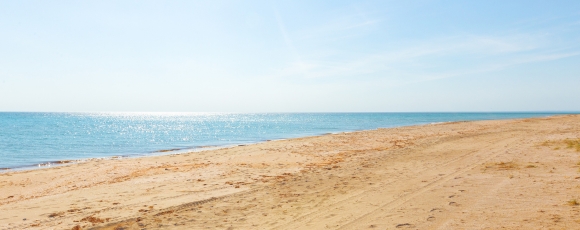 A sandy beach with blue water and a clear blue sky, located in Sea Bright & Sandy Hook.