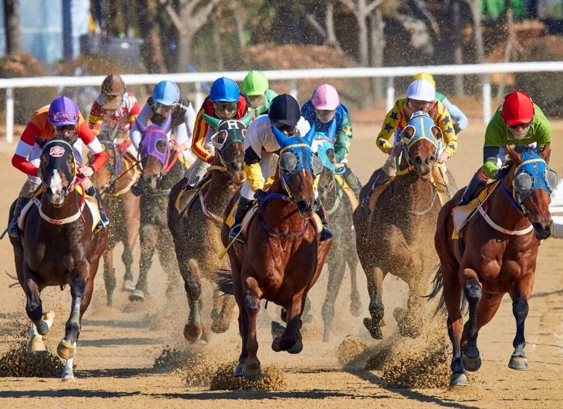Thoroughbred horses racing at Monmouth Park, a popular nearby attraction for guests staying at Latitude Suites in New Jersey.
