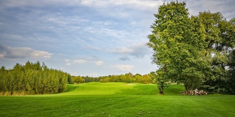 A scenic golf course with wide grassy fairways and trees, ideal for outdoor recreation.