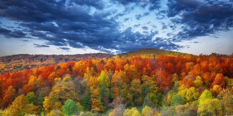 Colorful fall foliage near the Jersey Shore under dramatic autumn skies