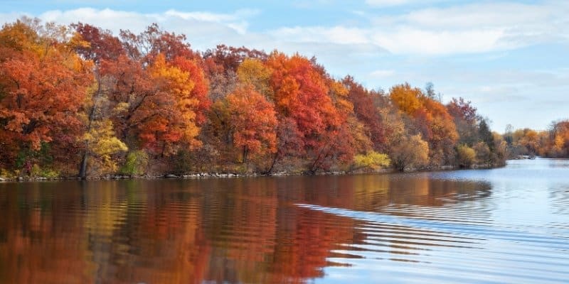 Autumn trees with vibrant foliage reflect on the river at Jersey Shore, showcasing the beauty of fall.