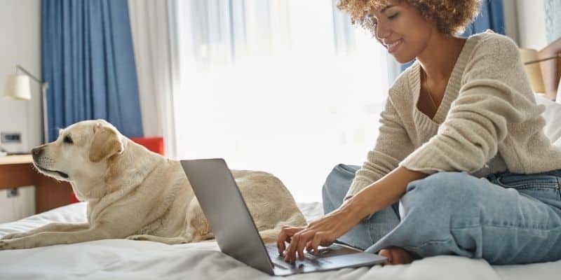 Dog-friendly accommodations at Latitude Suites for comfortable long-term stays with pets